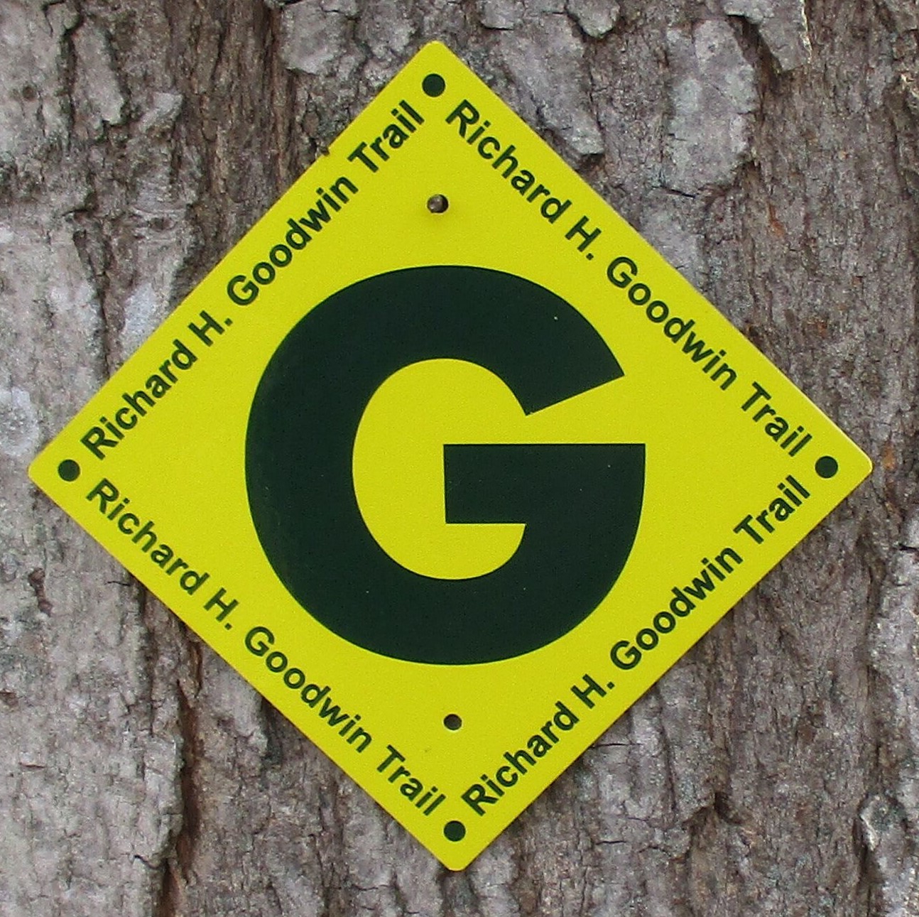 GT-logo (2)