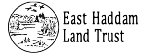 EHLT logo